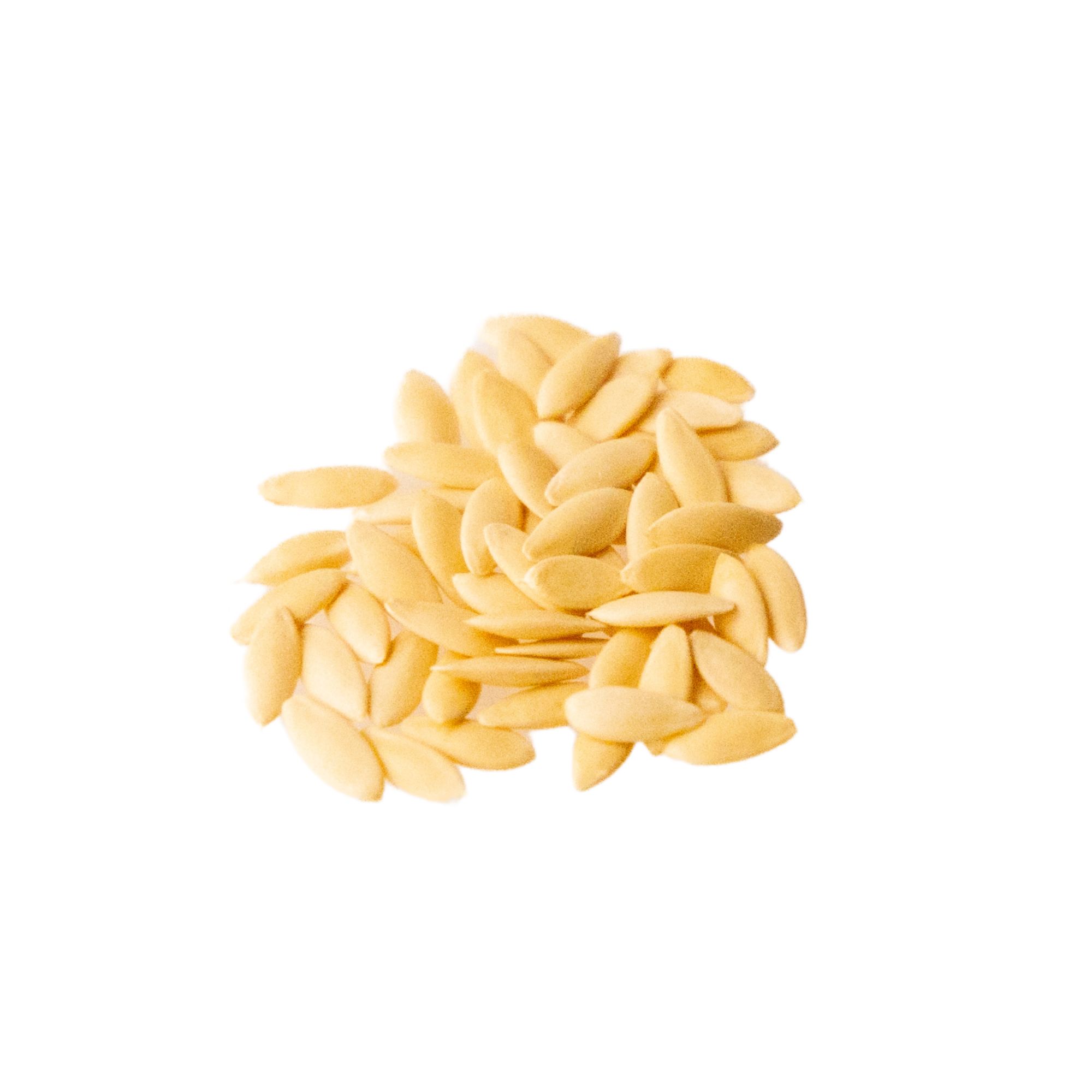 English Telegraph Cucumber Seeds - 1 g ~30 Seeds - Heirloom, Garden - Buy Non-GMO, Open Pollinated Seeds Online - Best Seed Supp